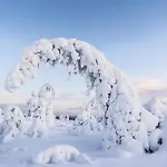 Aurora Hill Resort, Hotell