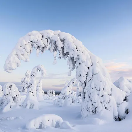 Aurora Hill Resort, Отель