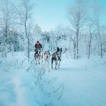 Aurora Hill Resort, *