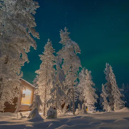 Aurora Hill Resort, Отель