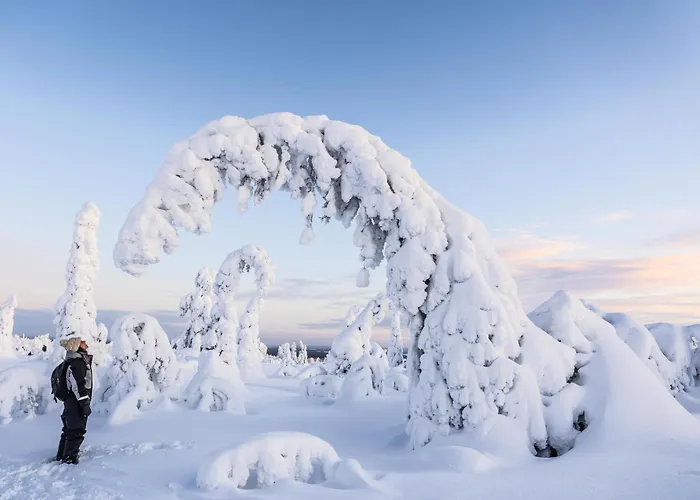 Aurora Hill Resort, 酒店