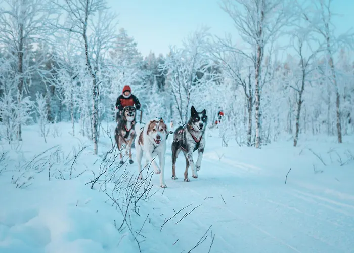 Aurora Hill Resort, *