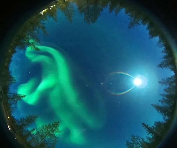 Aurora Hill Resort, 酒店