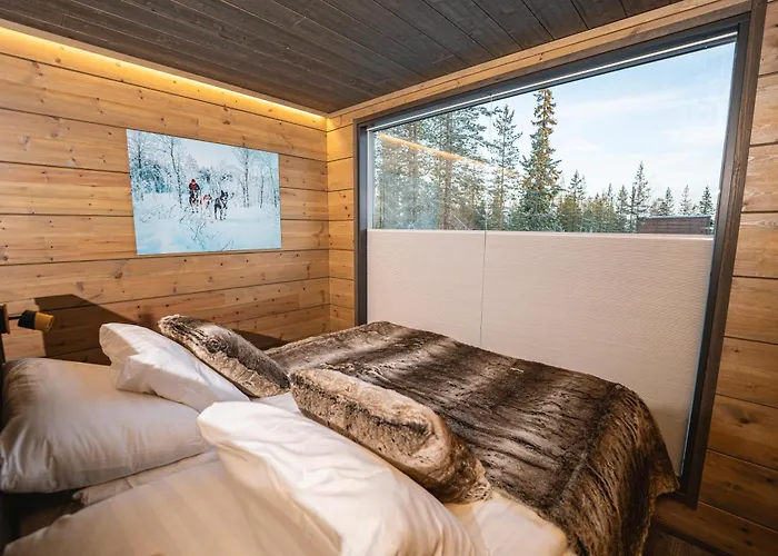 酒店 Aurora Hill Resort, *