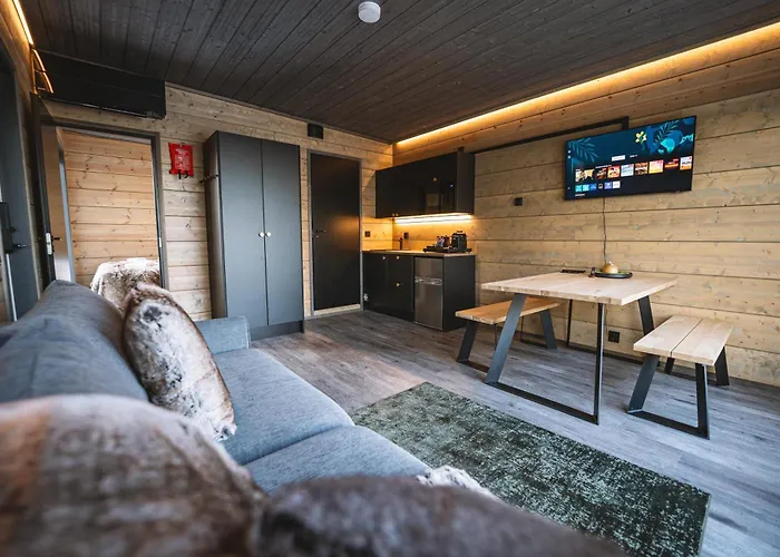 Aurora Hill Resort, 酒店 罗瓦涅米