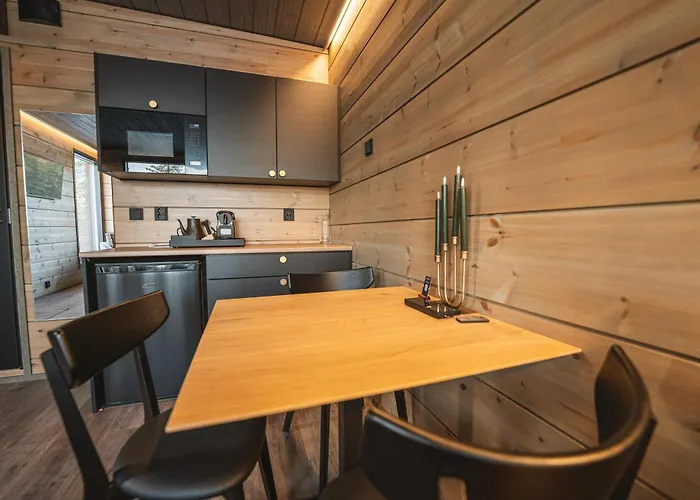 酒店 Aurora Hill Resort, *