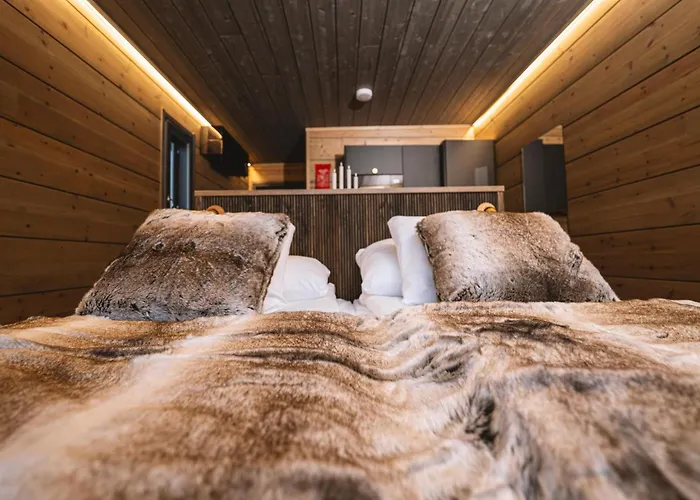 酒店 Aurora Hill Resort, *