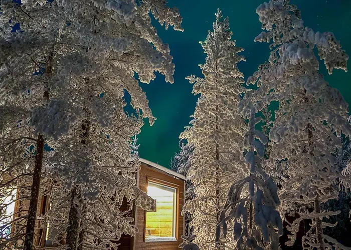 酒店 Aurora Hill Resort,