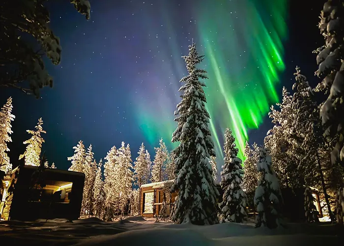 Aurora Hill Resort, 酒店