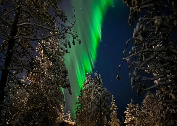 酒店 Aurora Hill Resort, *